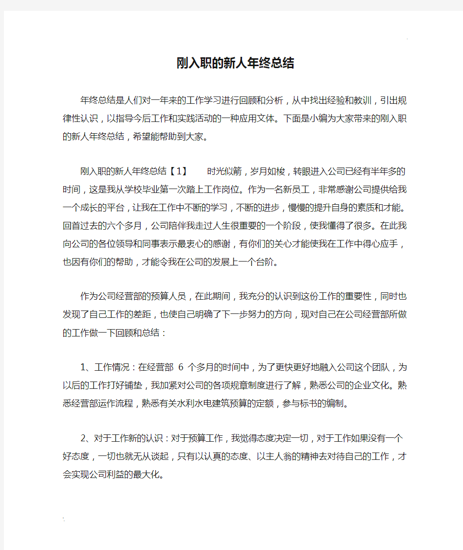 刚入职的新人年终总结