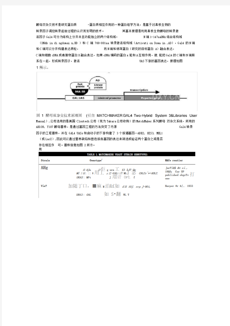 酵母双杂交文库筛选与蛋白互作验证服务