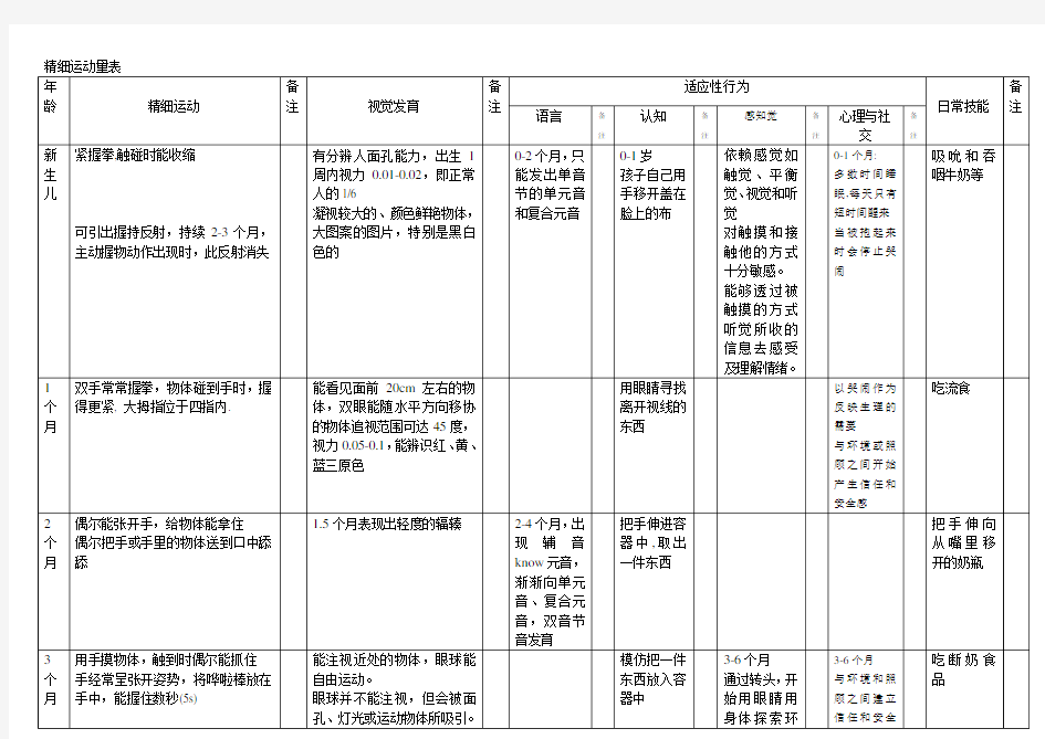 精细运动量表