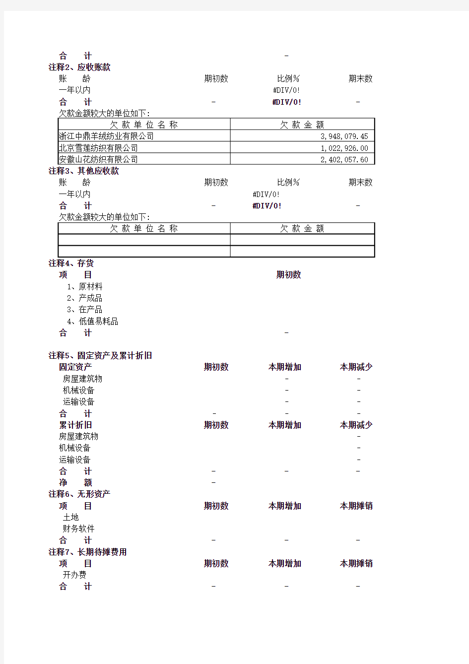 财务报表及附注(样板)