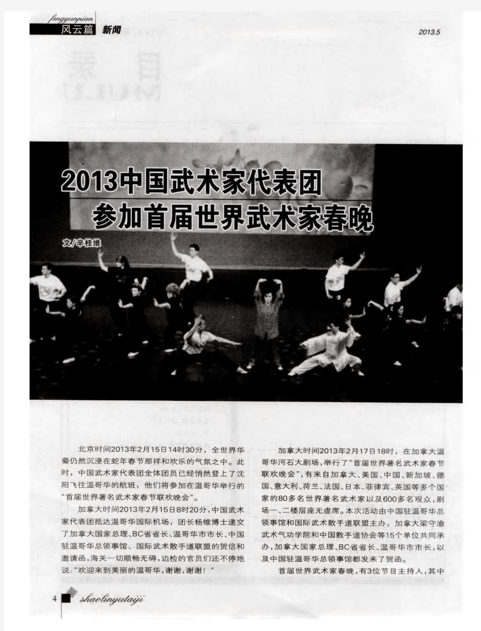 2013中国武术家代表团参加首届世界武术家春晚