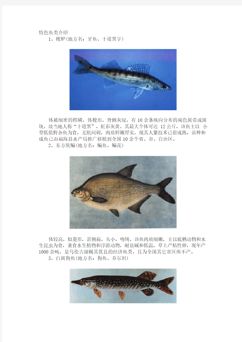 各种鱼类图谱