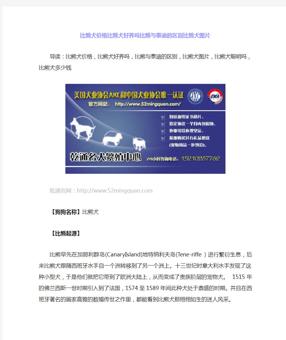 比熊犬价格以及比熊与泰迪的区别