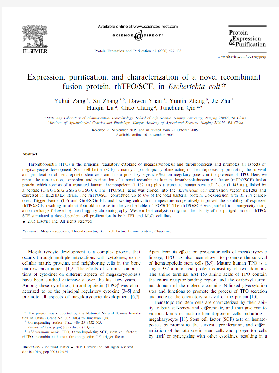 Expression, purification, ancod characterization of a novel rembinant fusion proteinTPOSCF,  Ecoli.