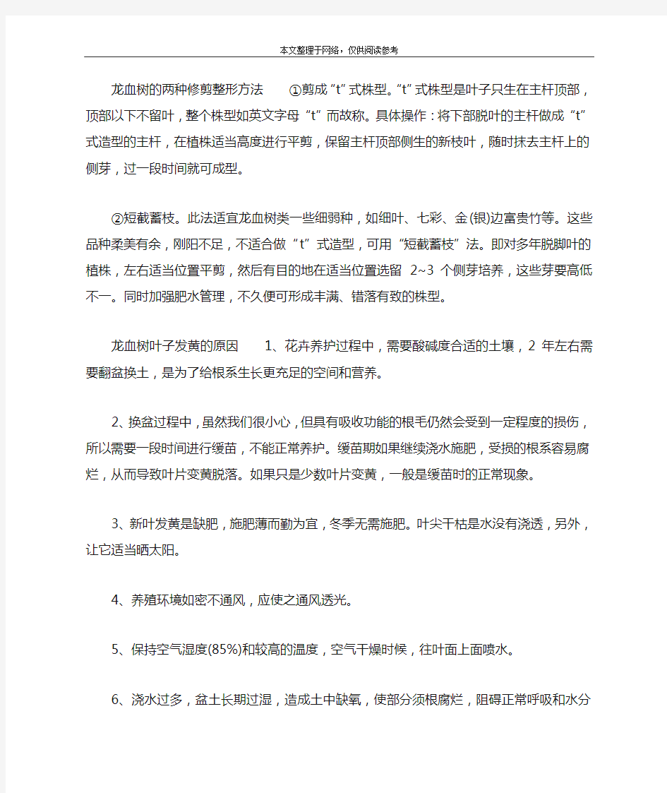 龙血树的养殖方法