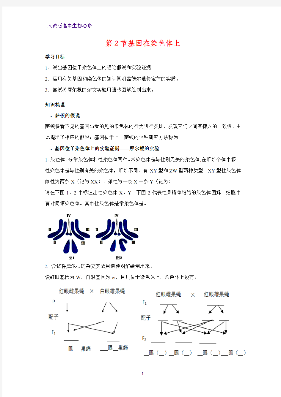 高中生物必修2学案2：2.2基因在染色体上