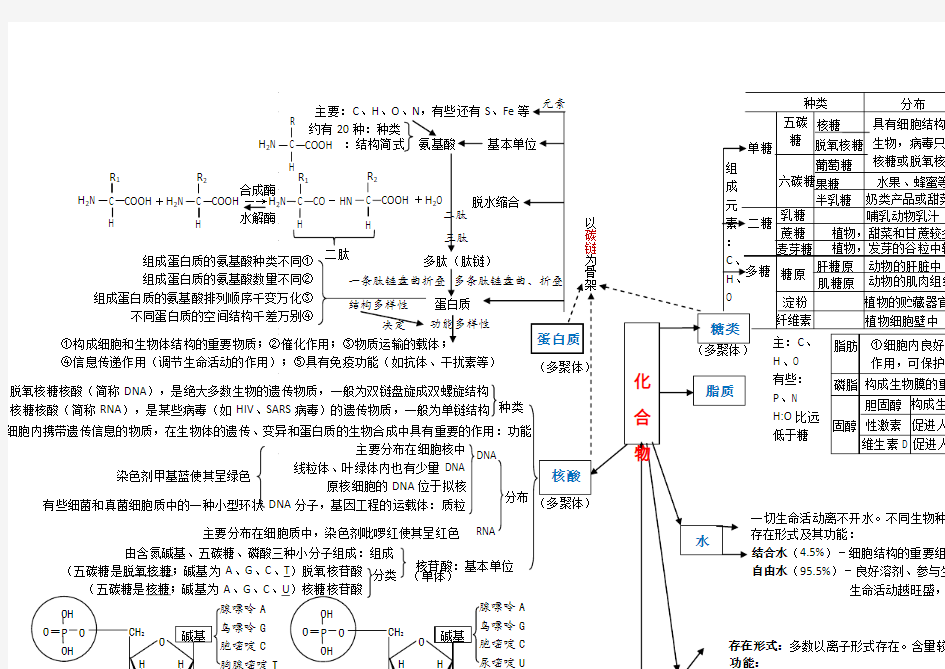 生物必修 组成细胞的元素和化合物思维导图