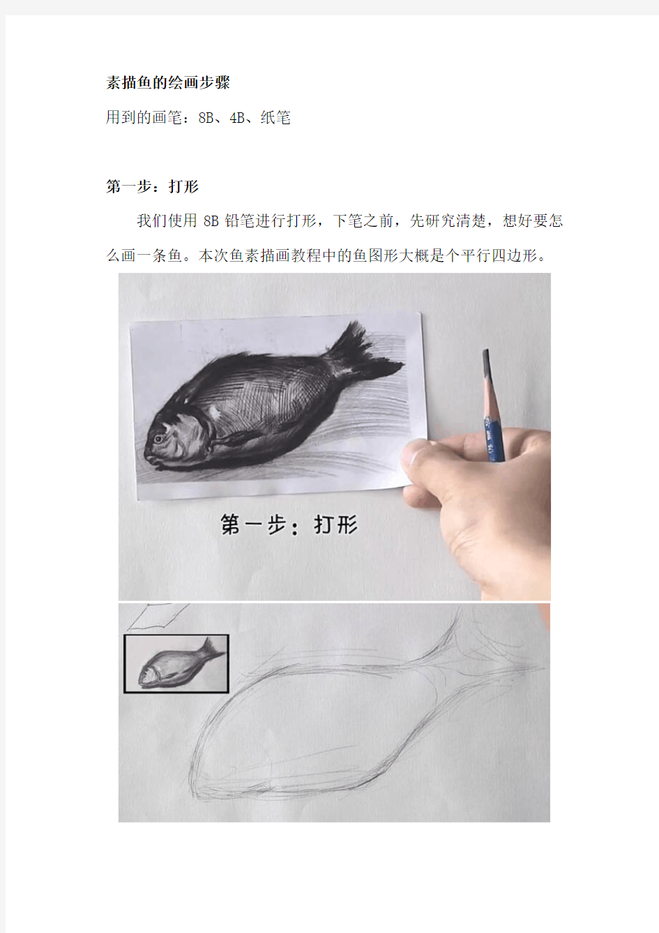 素描鱼的绘画步骤