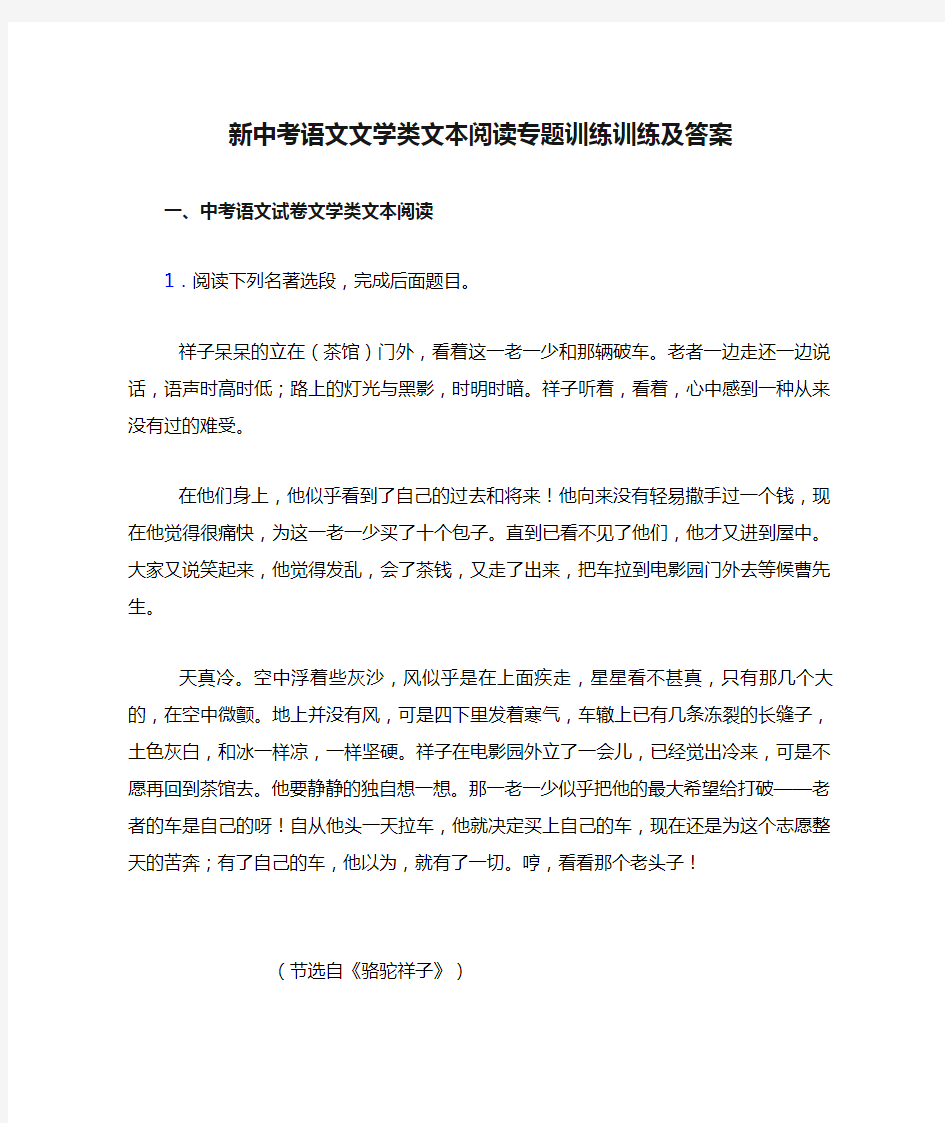 新中考语文文学类文本阅读专题训练训练及答案