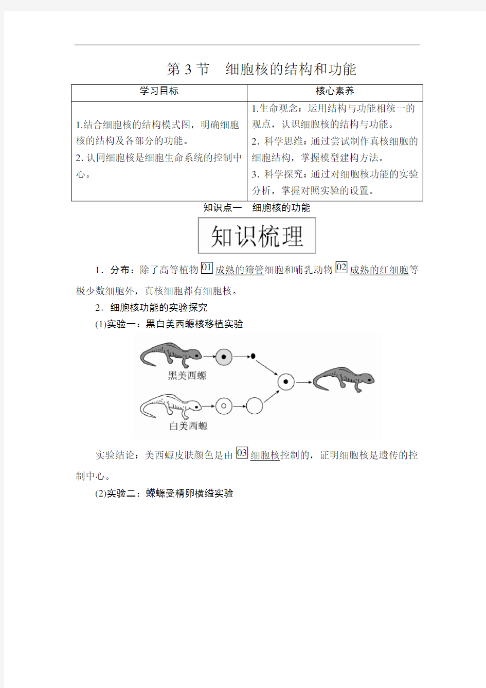 高中生物(新教材)《细胞核的结构和功能》导学案+课后练习题