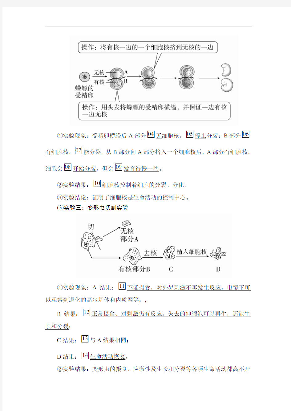 高中生物(新教材)《细胞核的结构和功能》导学案+课后练习题