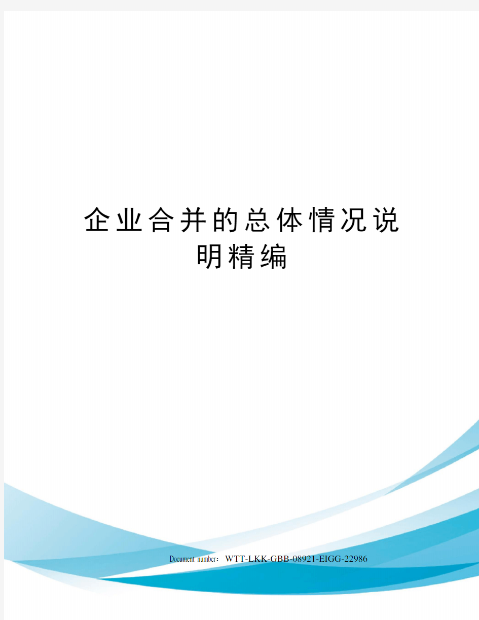 企业合并的总体情况说明精编