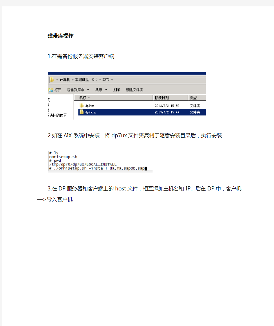 HP DP配置带库操作