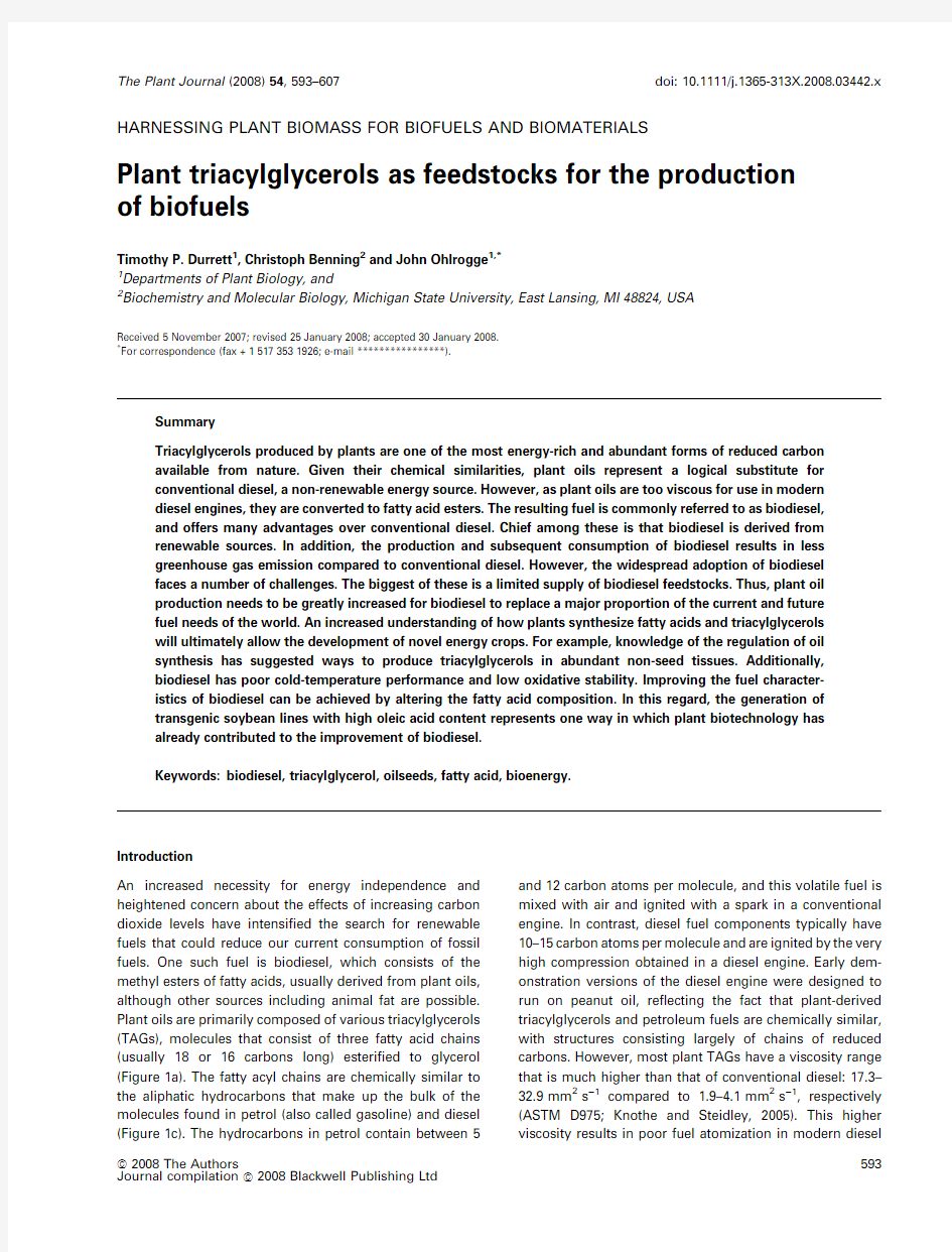 plant triacylglycerols as feedstocks for the production of biofuels