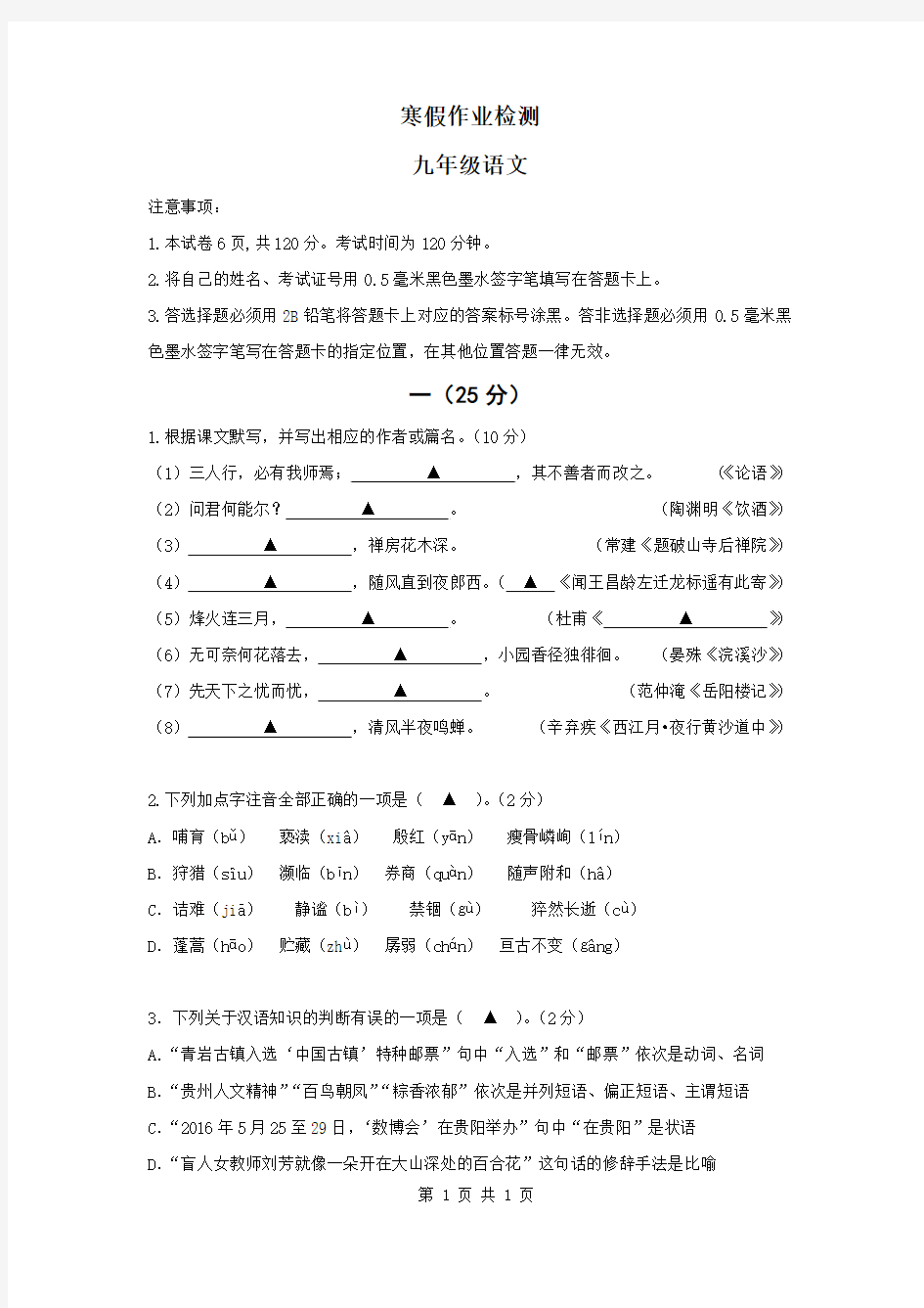 寒假作业检测 九年级语文