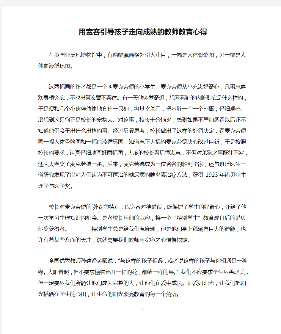 用宽容引导孩子走向成熟的教师教育心得