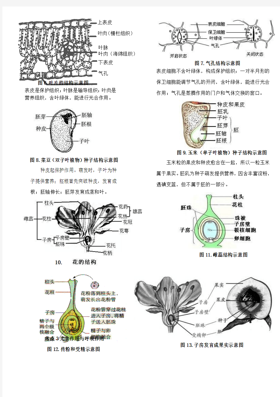 2 专题二  植物各器官及植物生理功能