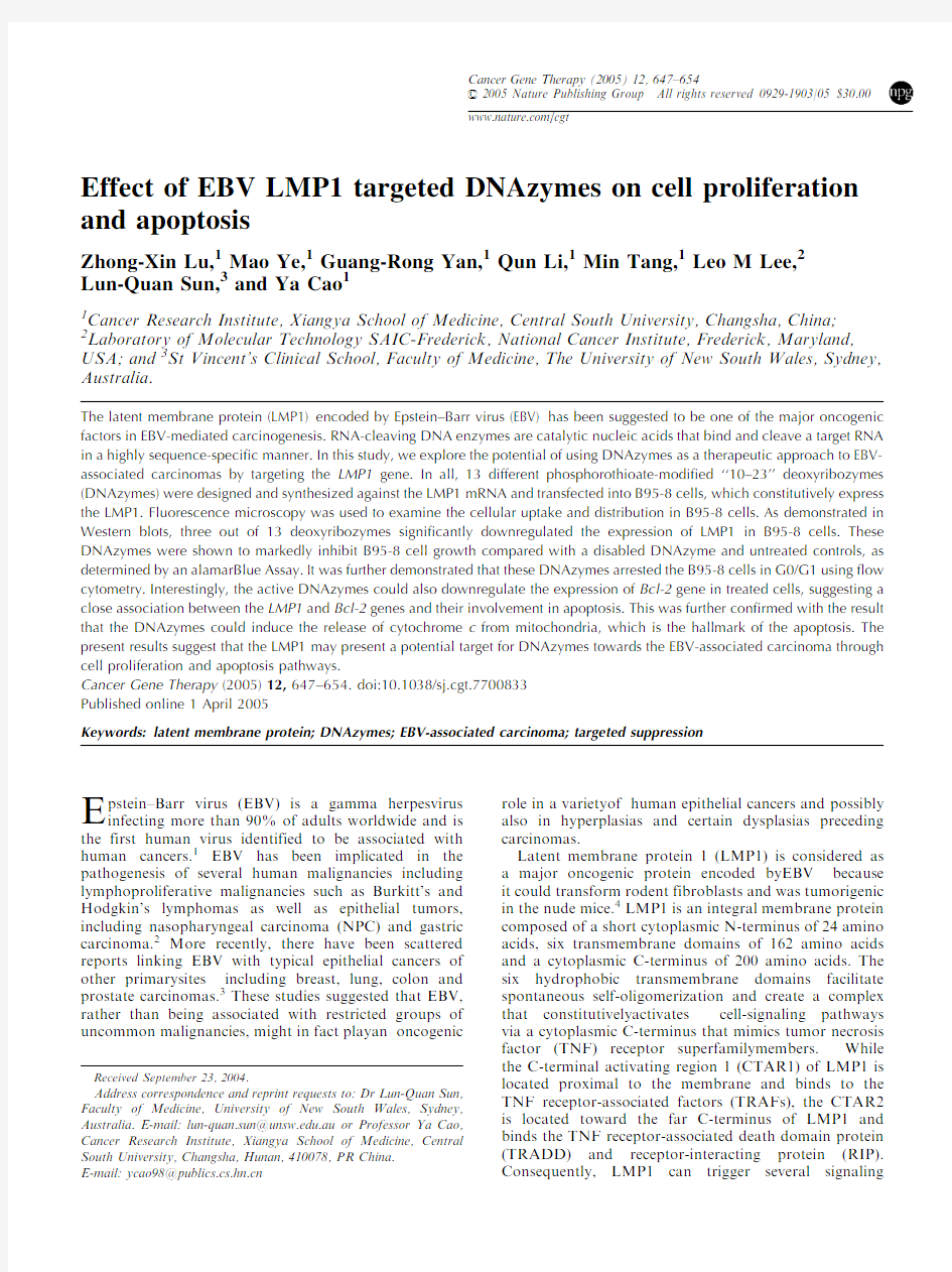 2005Effect of EBV LMP1 targeted DNAzymes on cell proliferation and apoptosis