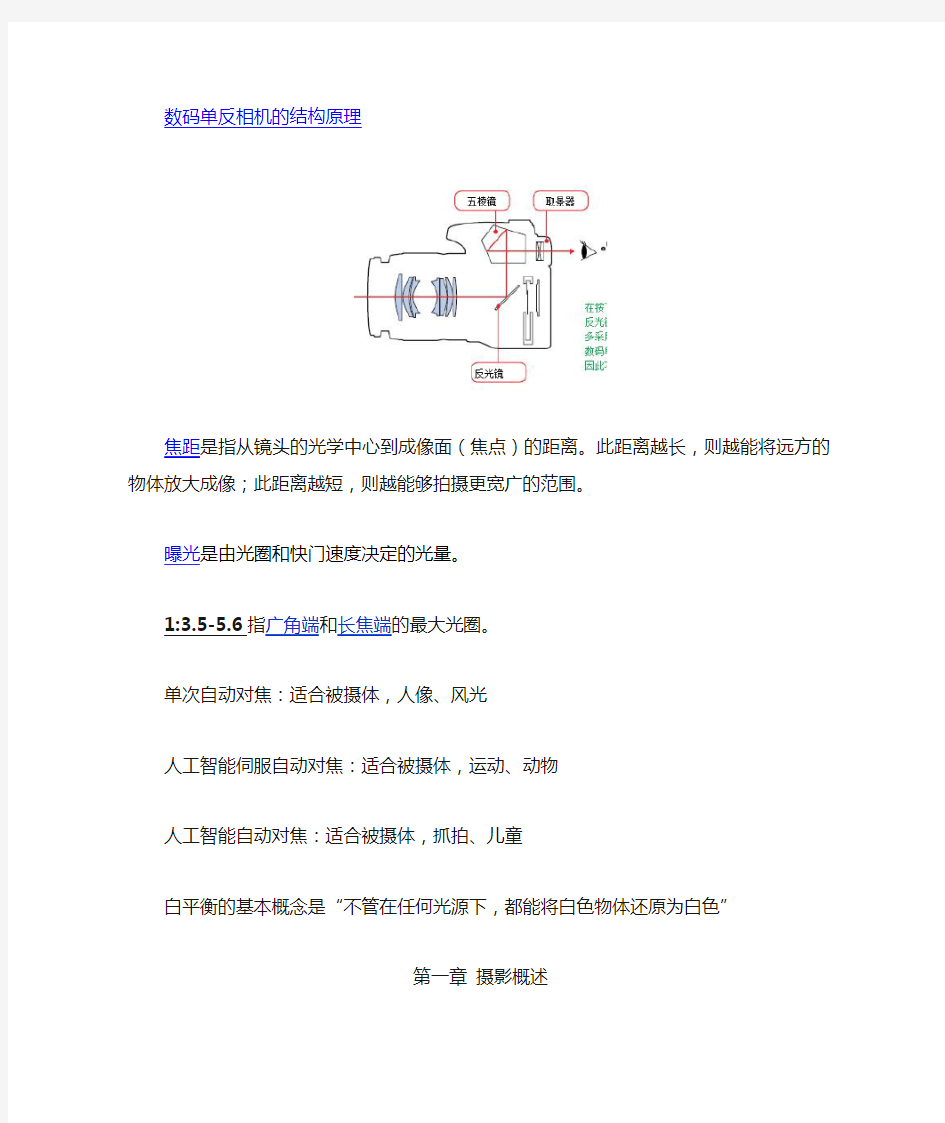 摄影技术与艺术