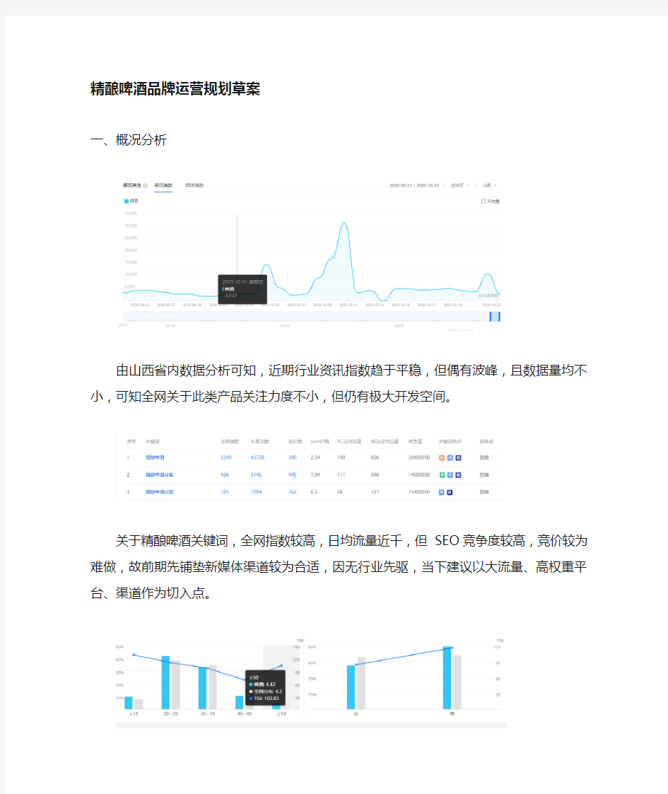 品牌运营规划方案