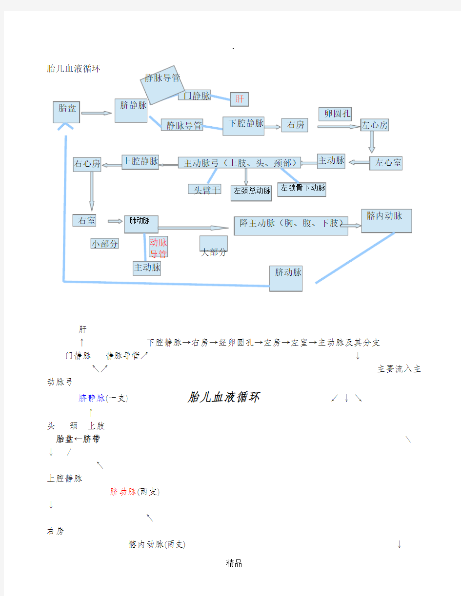 胎儿血液循环示意图