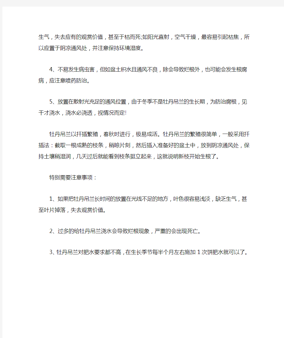 牡丹吊兰的养殖方法和注意事项