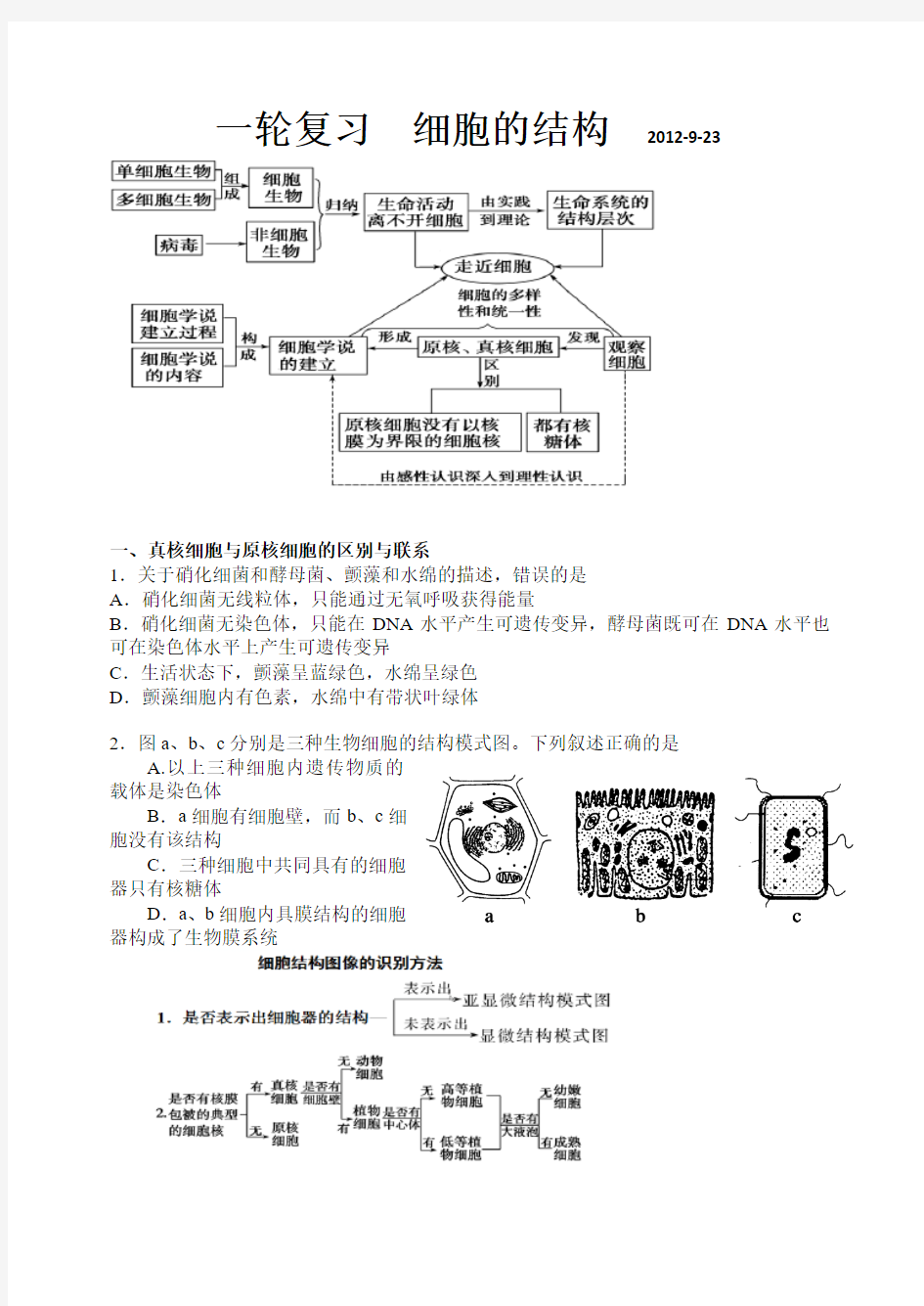 真核细胞与原核细胞的区别与联系 (自动保存的)