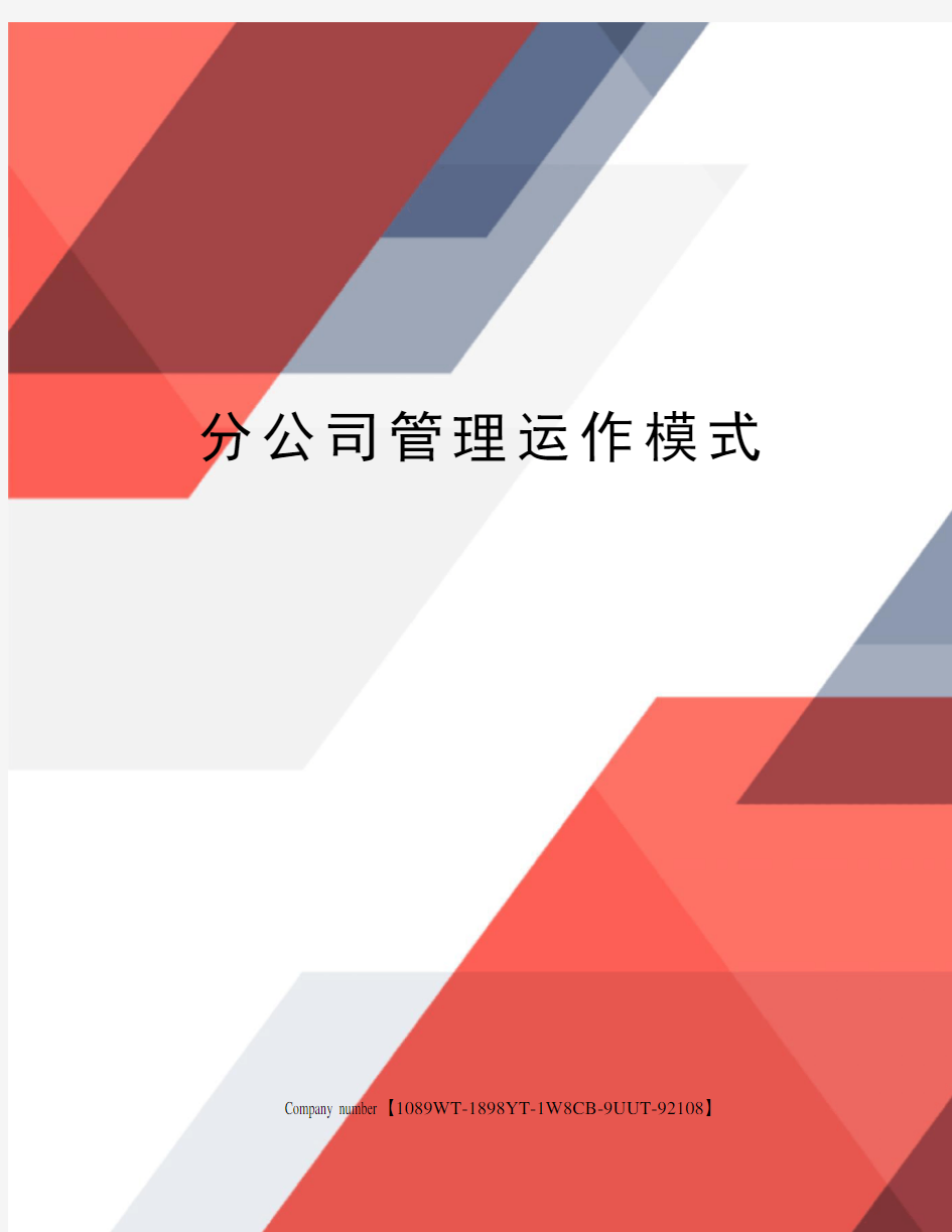 分公司管理运作模式