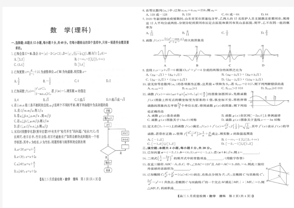 河南省新乡市新乡县第一中学2020届高三数学5月联考试题理(PDF)