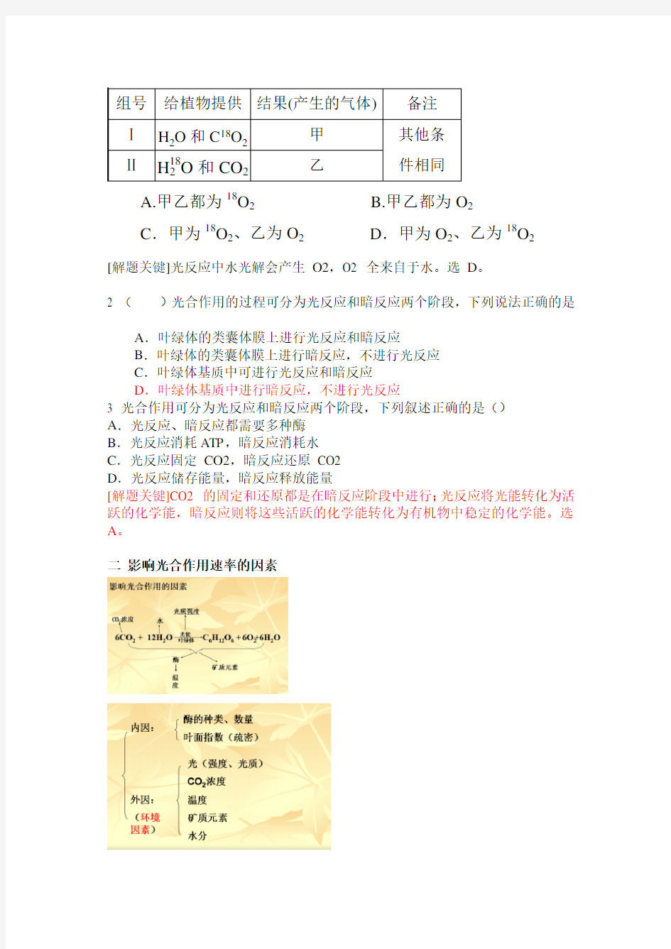 高考生物专题光合作用知识点及专题练习