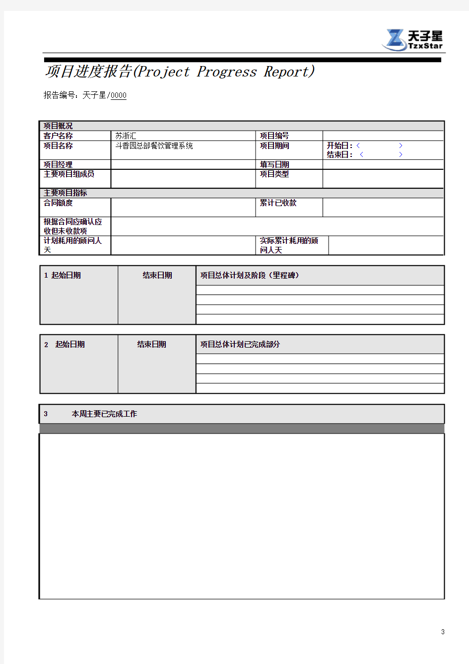 项目进度报告模板