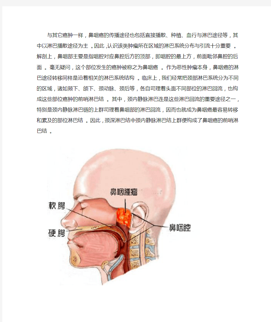 鼻咽癌的颈部淋巴结转移