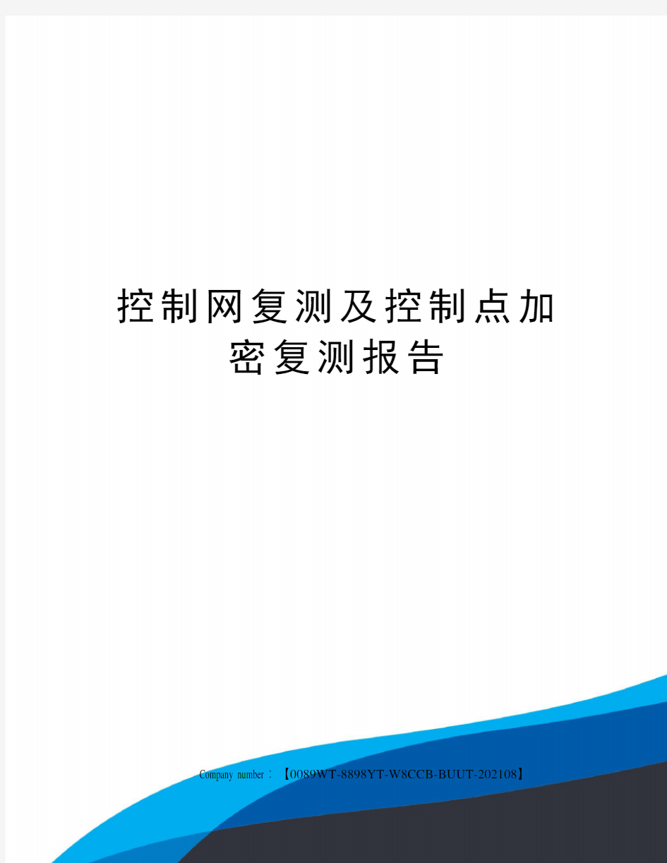 控制网复测及控制点加密复测报告