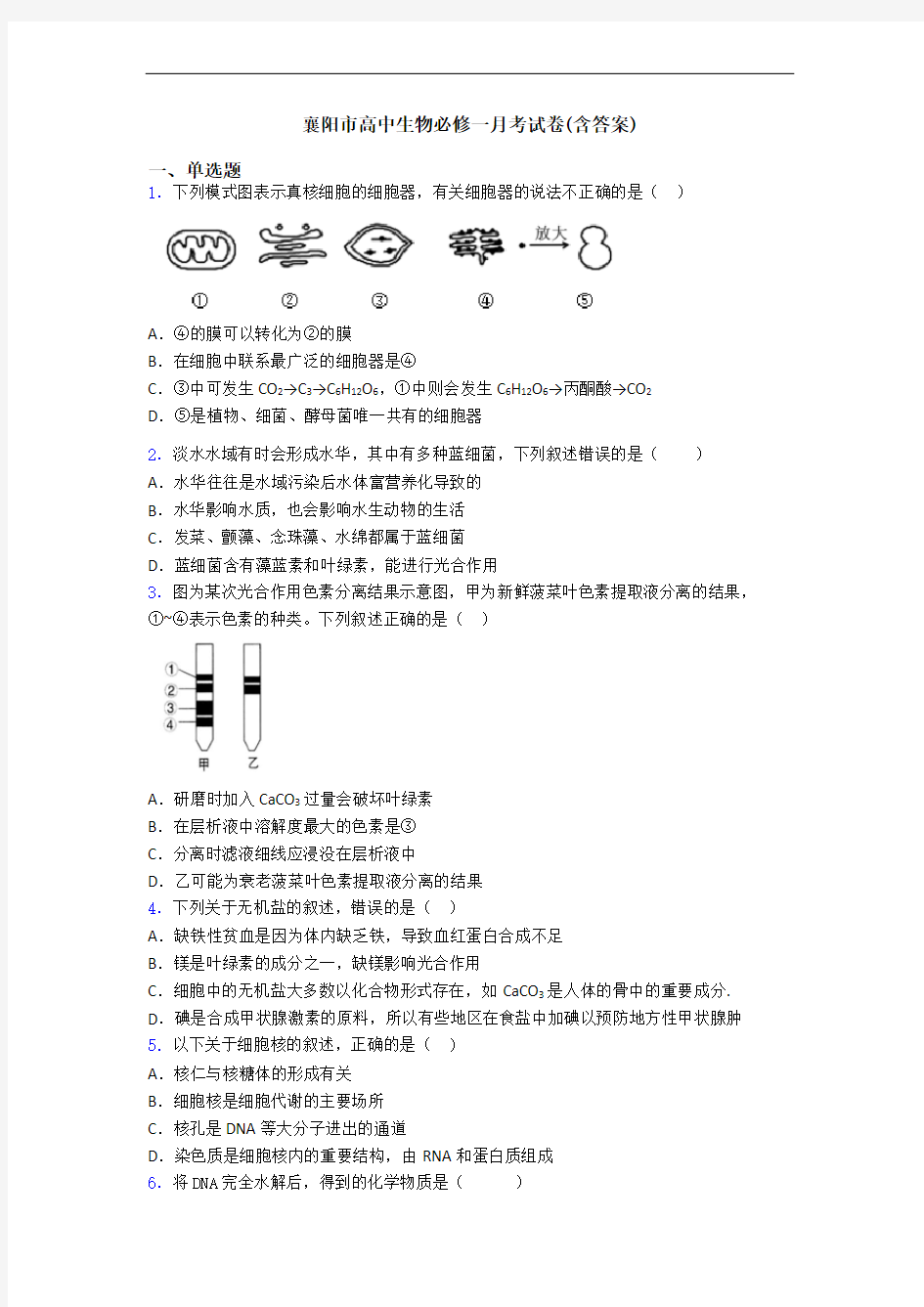 襄阳市高中生物必修一月考试卷(含答案)