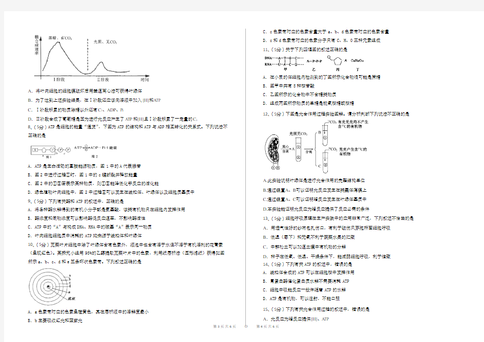 高中生物细胞的能量代谢