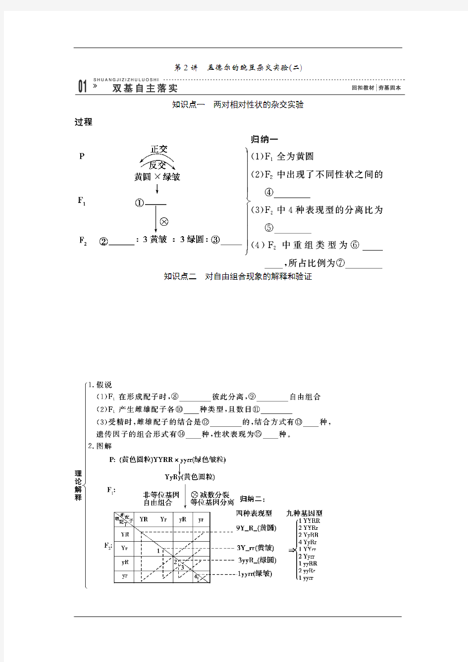 高三生物一轮复习(知识点归纳与总结)：1.2 孟德尔的豌豆杂交实验(二)