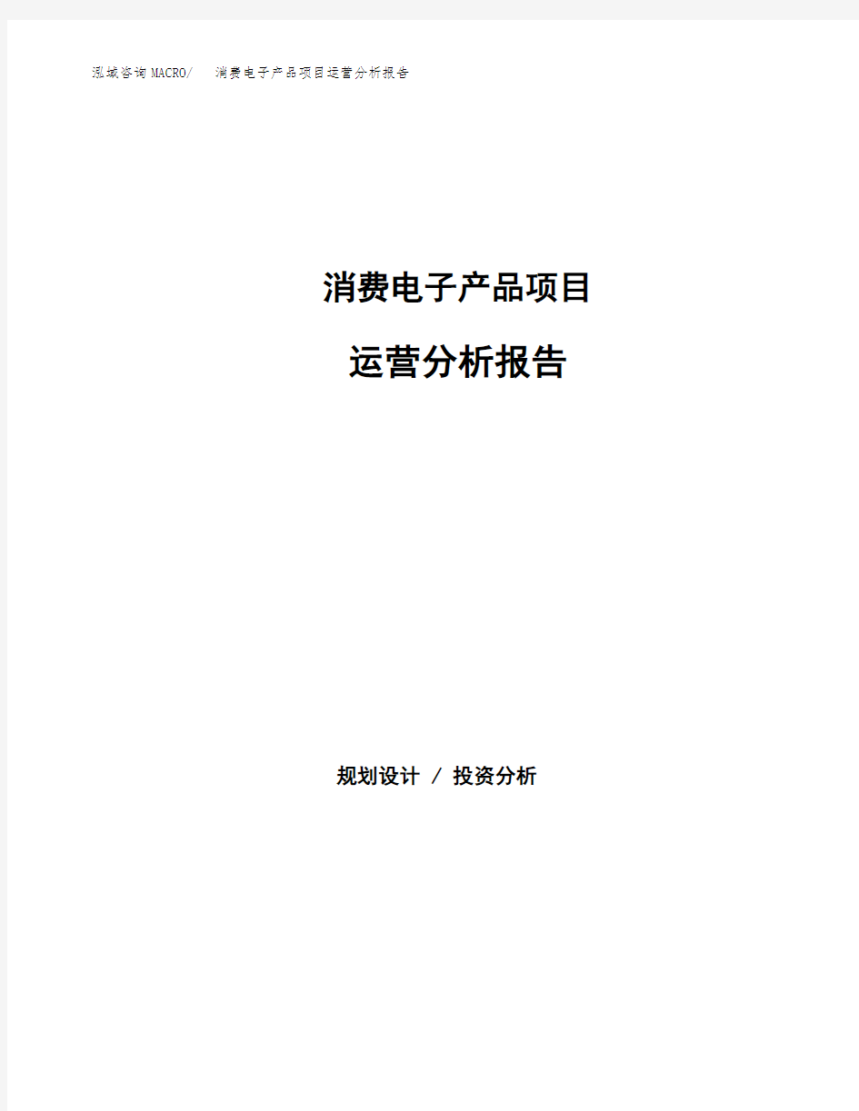 消费电子产品项目运营分析报告