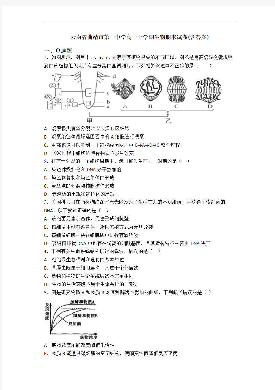 云南省曲靖市第一中学高一上学期生物期末试卷(含答案)