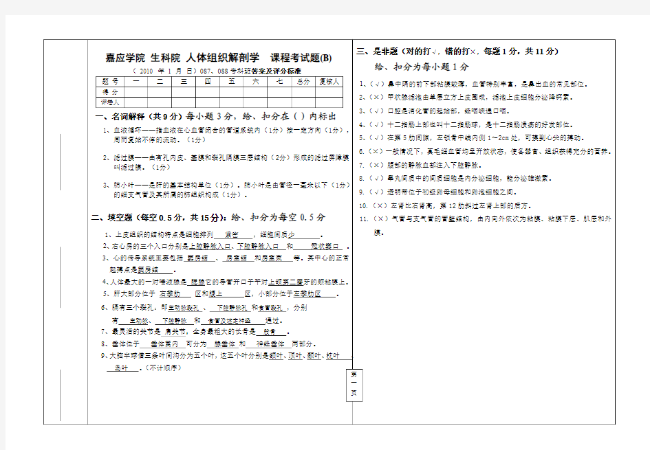 11级人体解剖学试题B答案