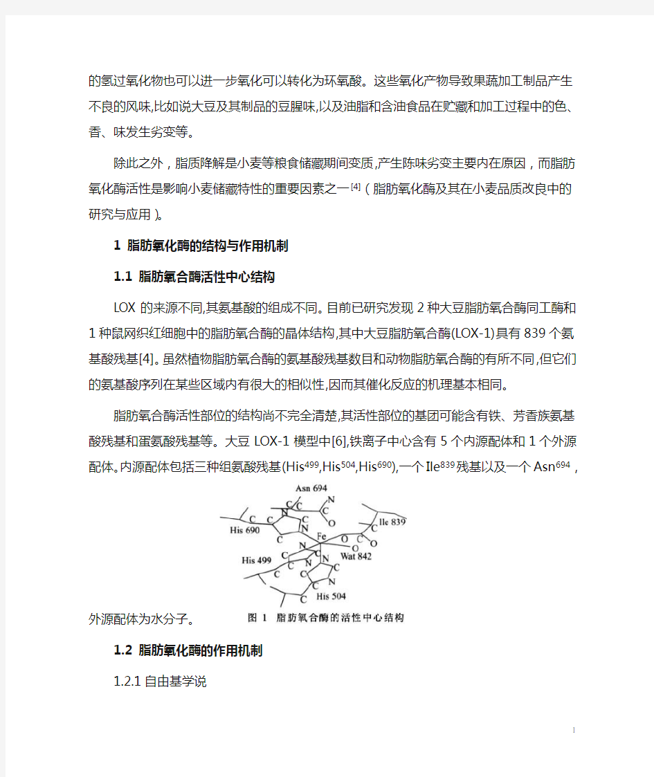 脂肪氧合酶及其对小麦品质的影响