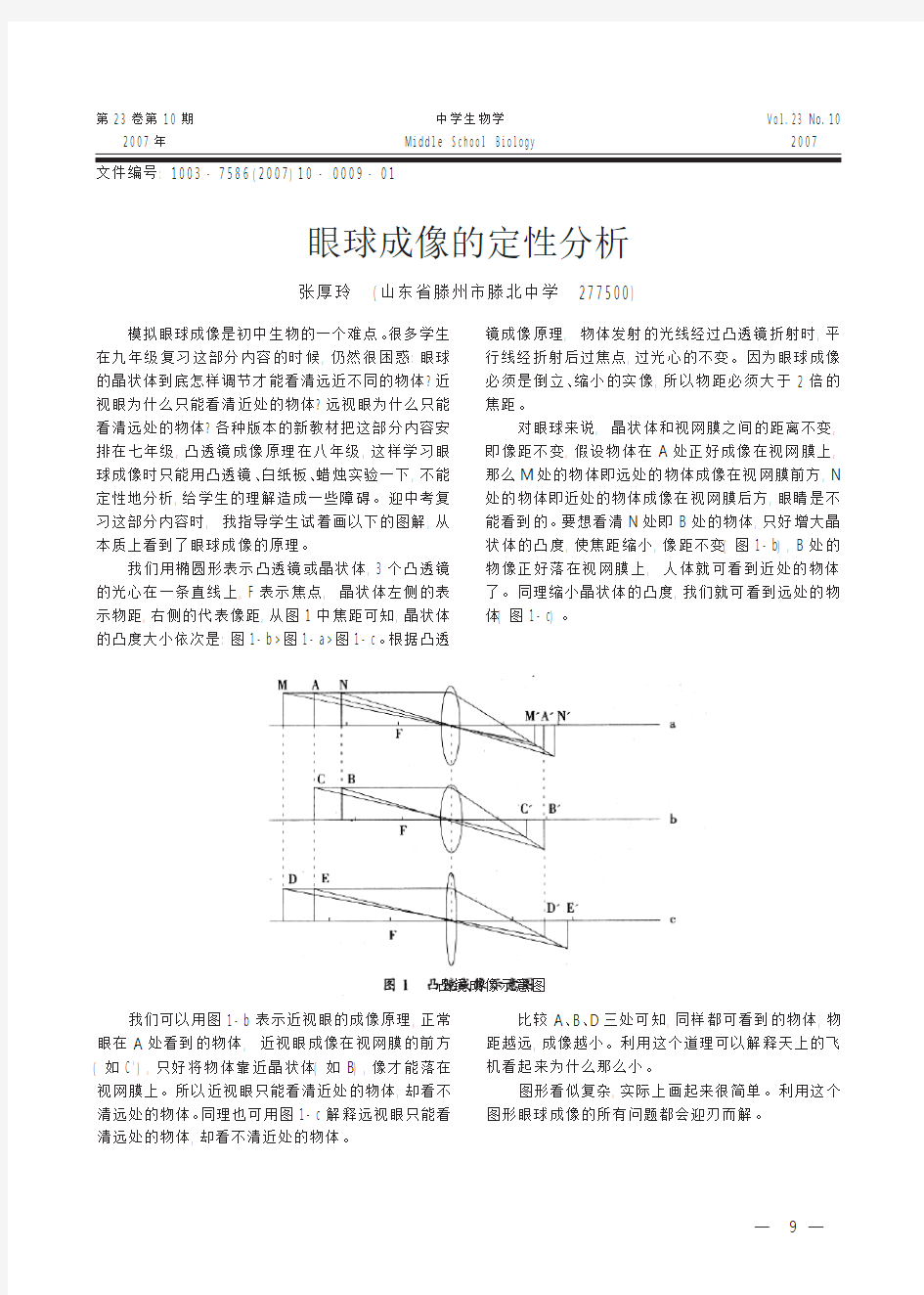 眼球成像的定性分析