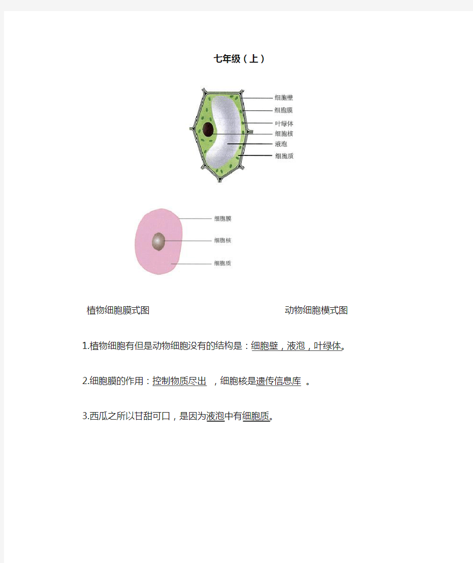 生地会考复习资料：初中生物图集(附题目)(人教版)