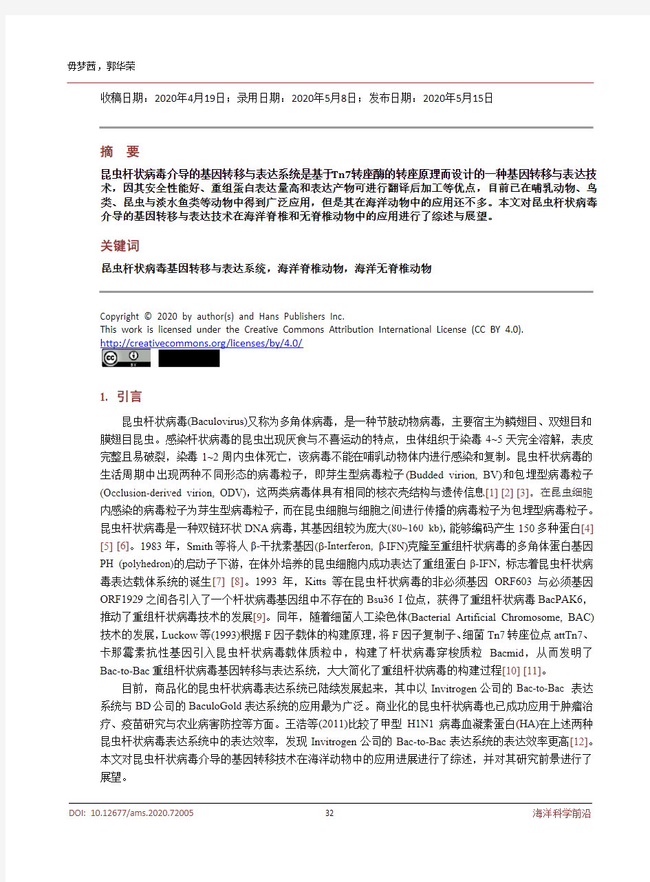 昆虫杆状病毒基因转移与表达系统在海洋动物中的应用进展