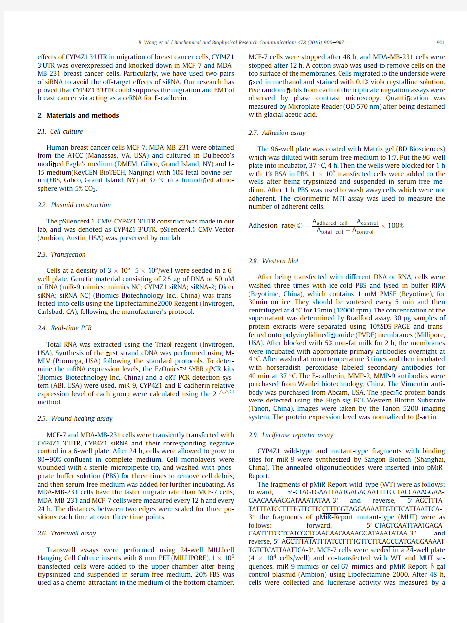 CYP4Z1 30UTR represses migration of human breast cancer cells