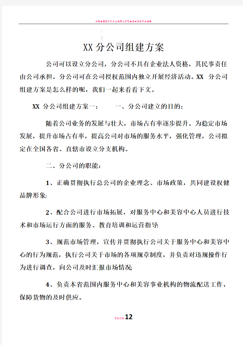 XX分公司组建方案