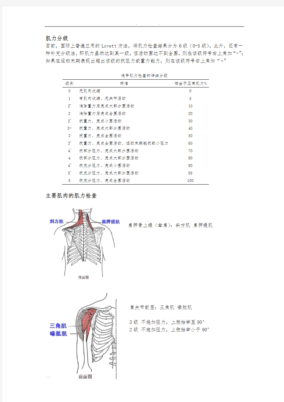 徒手肌力检查