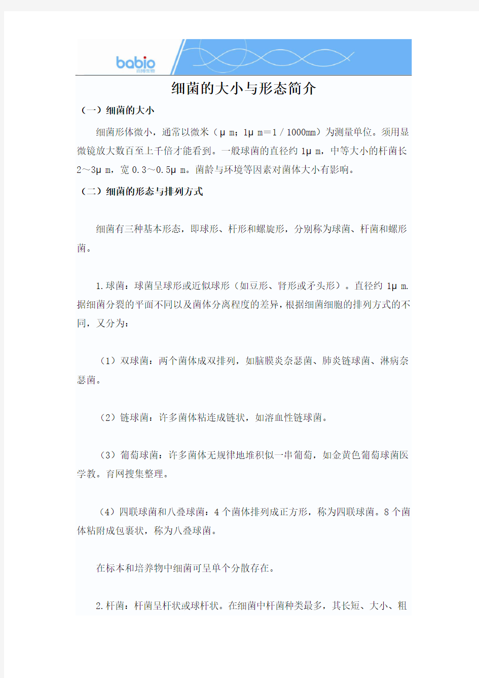 细菌的大小与形态简介