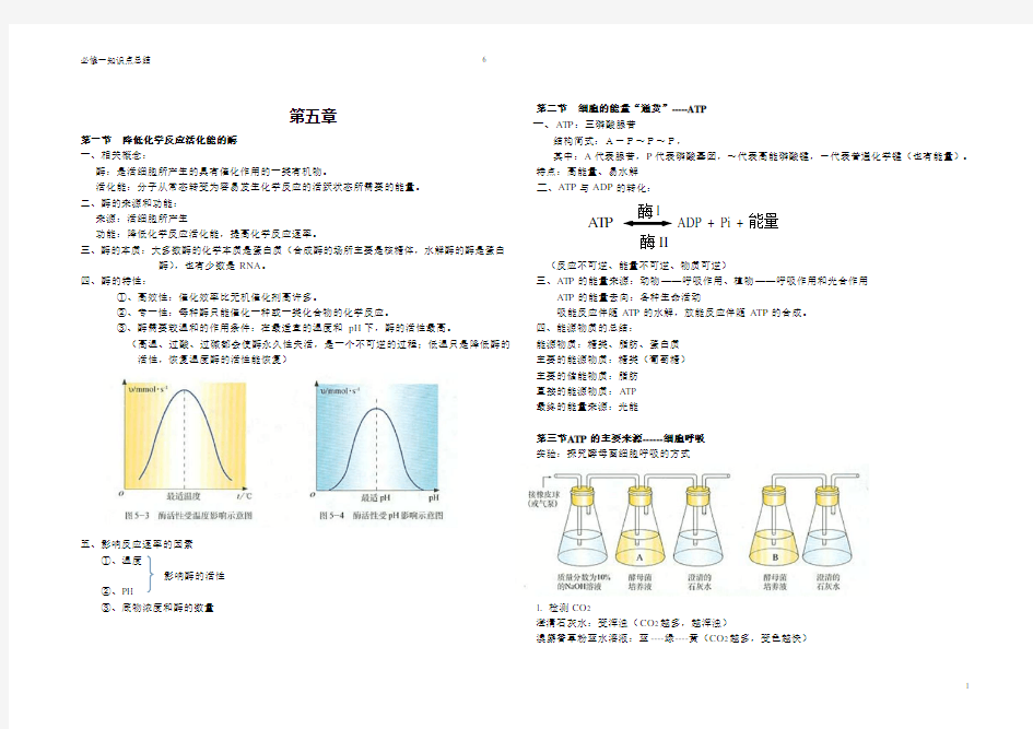 人教版生物必修一第5章 知识点