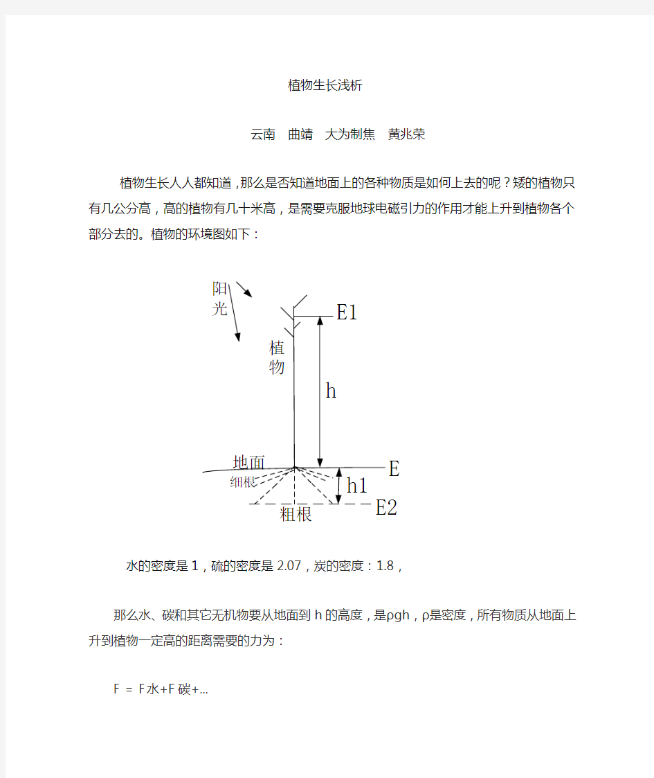 植物生长分析