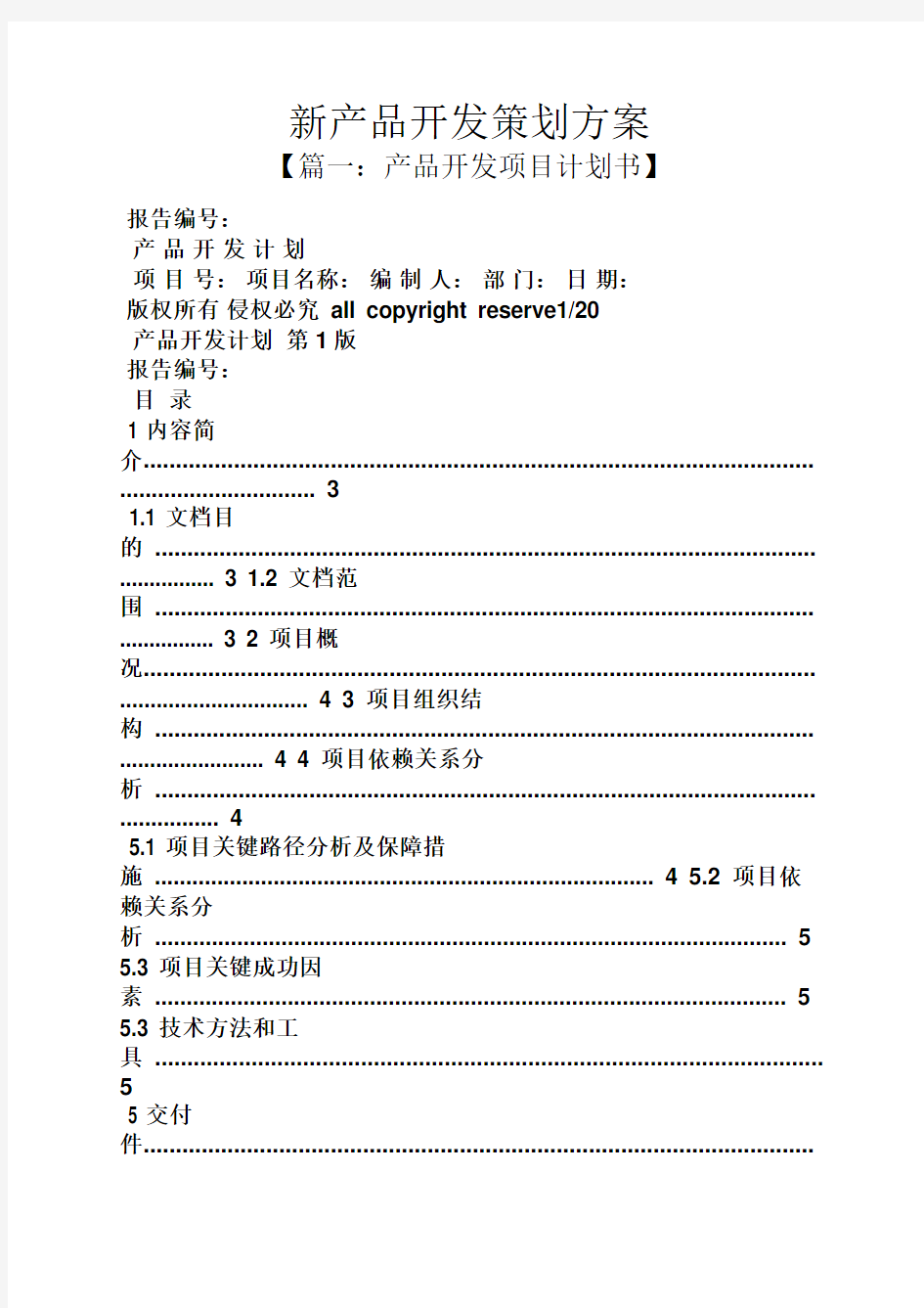 新产品开发策划方案